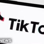 TikTok vs. U.S. Government: