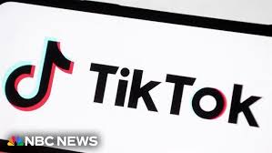 TikTok vs. U.S. Government: