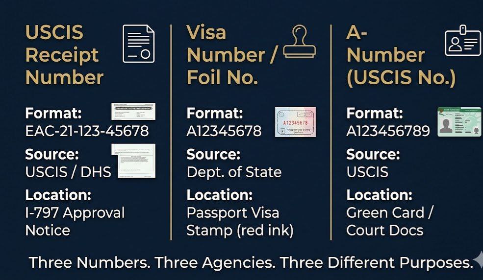 Infographic comparing US immigration numbers: USCIS receipt number vs visa foil number vs A-number